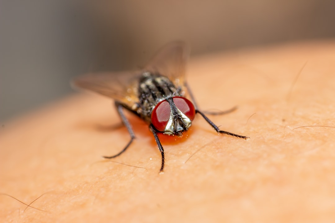 découvrez les premiers signes de la dengue pour une détection rapide et une prise en charge efficace. informez-vous sur les symptômes initiaux et protégez votre santé.