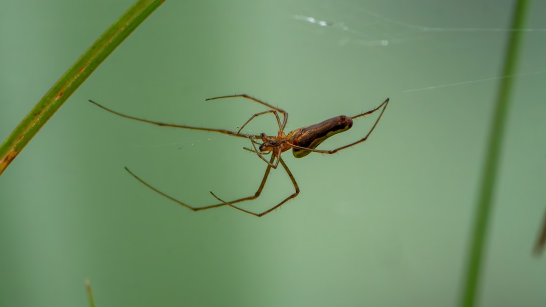découvrez les premiers signes de la dengue pour une détection rapide et une prise en charge efficace. informez-vous sur les symptômes initiaux et protégez votre santé.