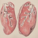 découvrez les symptômes de la carence en fer, leurs causes, et comment les reconnaître pour mieux prévenir et traiter ce problème courant.