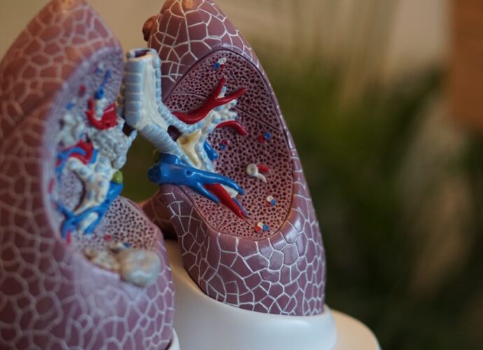 découvrez les principaux symptômes du cancer du poumon pour une détection précoce et un traitement efficace.