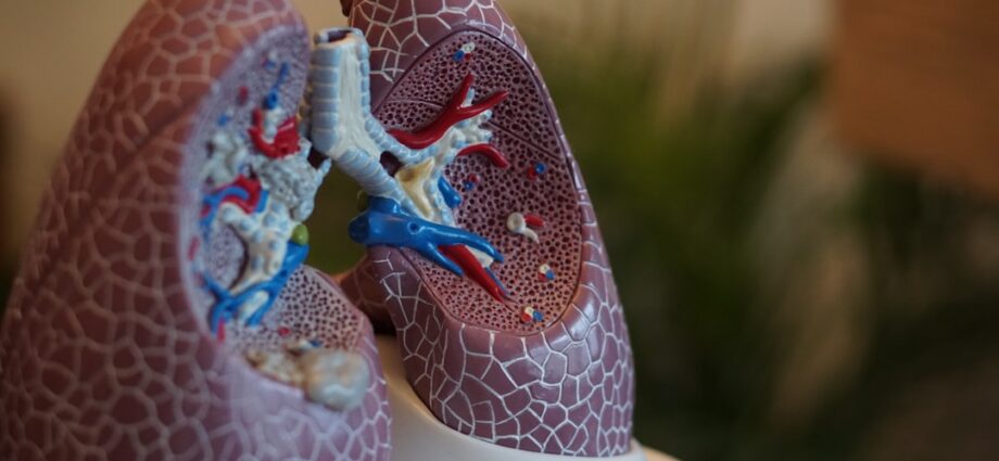 découvrez les principaux symptômes du cancer du poumon pour une détection précoce et un traitement efficace.
