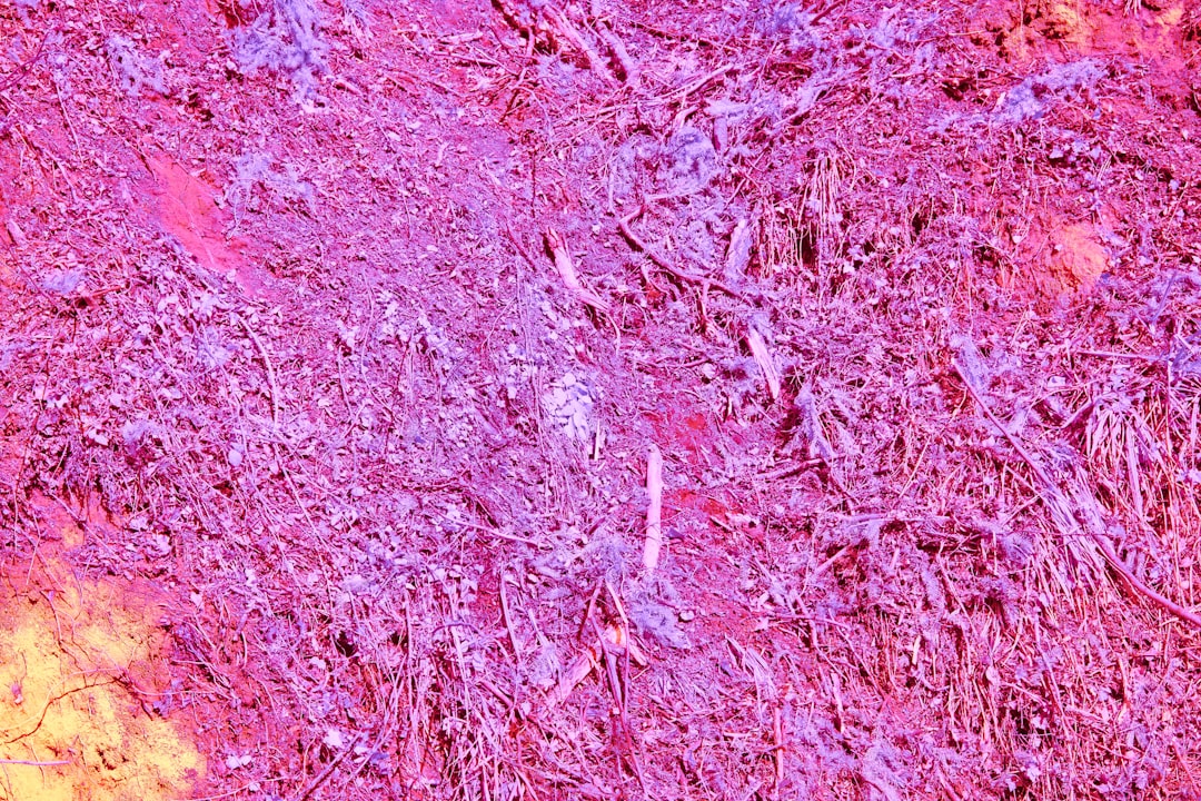 découvrez les symptômes courants du lupus, une maladie auto-immune, pour mieux comprendre ses manifestations et consulter un spécialiste.