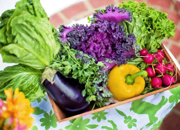 nutrition et alimentation