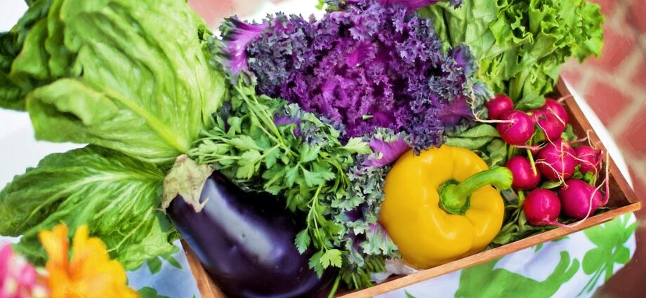 nutrition et alimentation