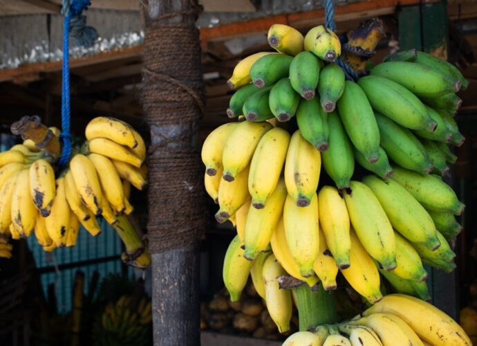 découvrez tout ce qu'il faut savoir sur le potassium : rôle essentiel dans l’organisme, bienfaits pour la santé, sources alimentaires et conseils pour éviter les carences ou les excès.