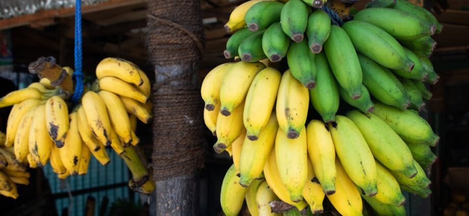 découvrez tout ce qu'il faut savoir sur le potassium : rôle essentiel dans l’organisme, bienfaits pour la santé, sources alimentaires et conseils pour éviter les carences ou les excès.
