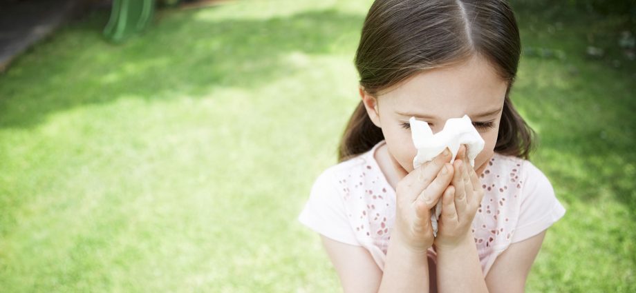 rhume des foins et allergie