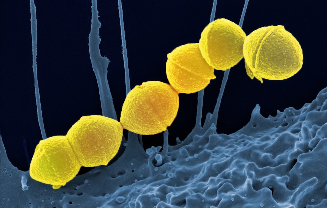 découvrez les symptômes courants d'une infection à staphylocoques, comment les identifier rapidement et les mesures à prendre pour une prise en charge efficace.