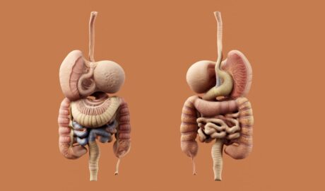découvrez les principaux symptômes des ulcères d'estomac pour une détection rapide et un traitement efficace.