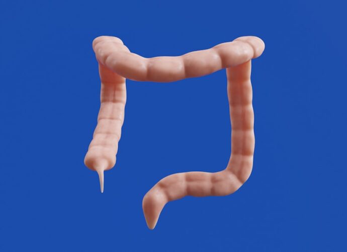 découvrez les symptômes courants des vers intestinaux, comment les reconnaître et quand consulter un professionnel de santé pour un diagnostic et un traitement adaptés.