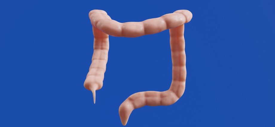 découvrez les symptômes courants des vers intestinaux, comment les reconnaître et quand consulter un professionnel de santé pour un diagnostic et un traitement adaptés.