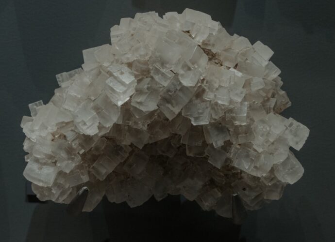 découvrez comment optimiser l’absorption du zinc, les facteurs qui l’influencent et les meilleures sources alimentaires pour prévenir les carences et renforcer votre santé.