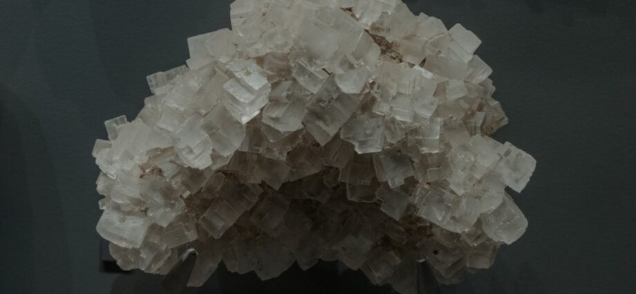 découvrez comment optimiser l’absorption du zinc, les facteurs qui l’influencent et les meilleures sources alimentaires pour prévenir les carences et renforcer votre santé.